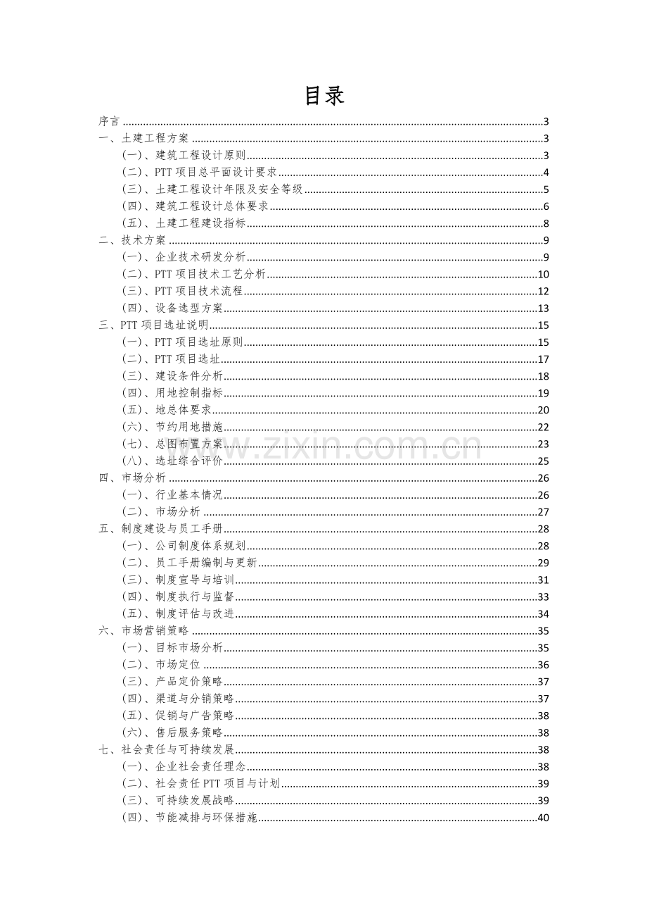 2024年PTT项目投资分析及可行性报告.docx_第2页