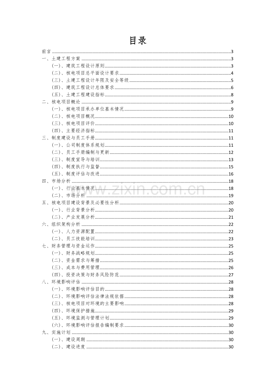 2024年核电项目投资分析及可行性报告.docx_第2页