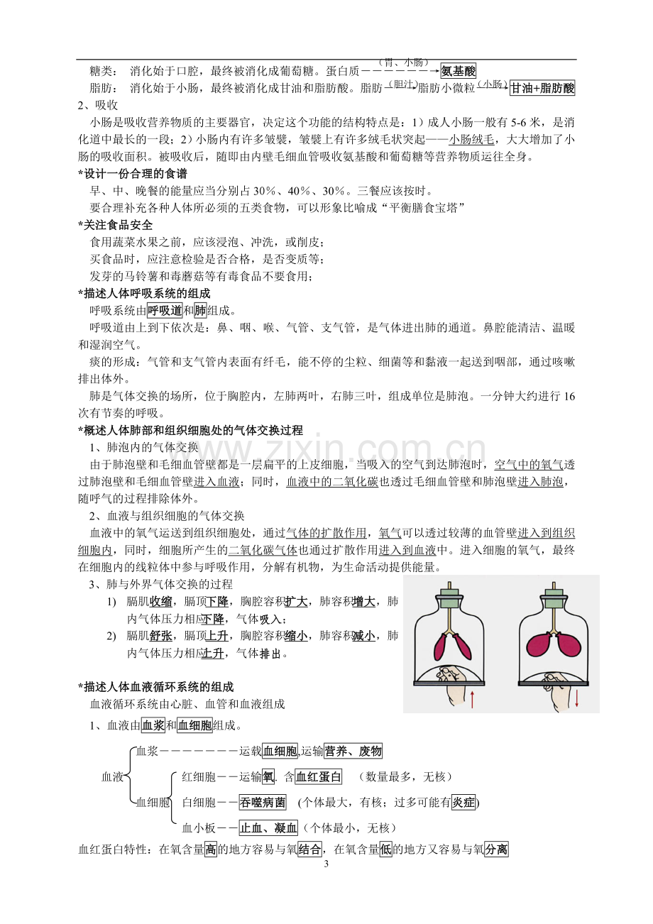 七年级下册生物复习资料(整理)教学内容.doc_第3页