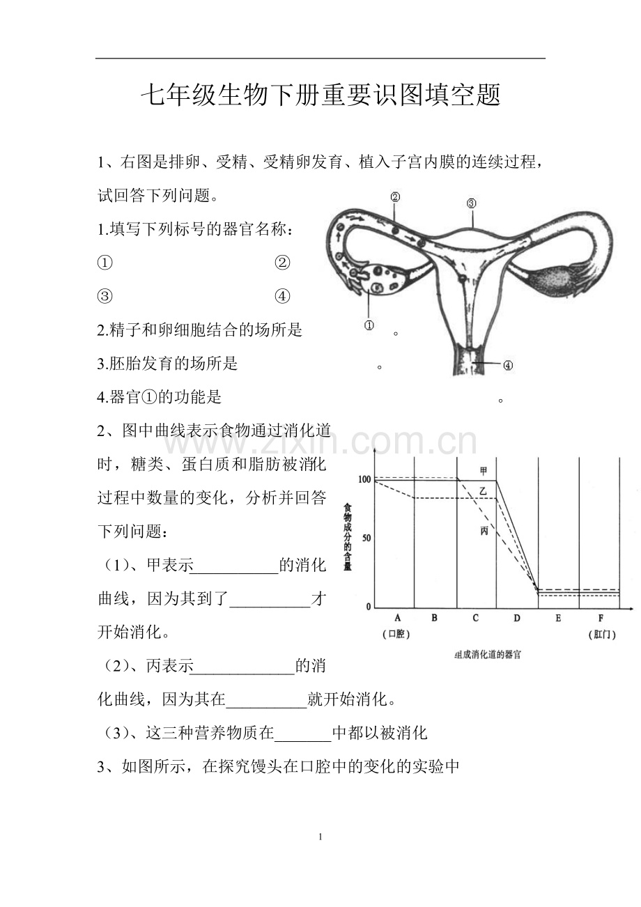 七年级生物下册重要识图填空题资料.doc_第1页