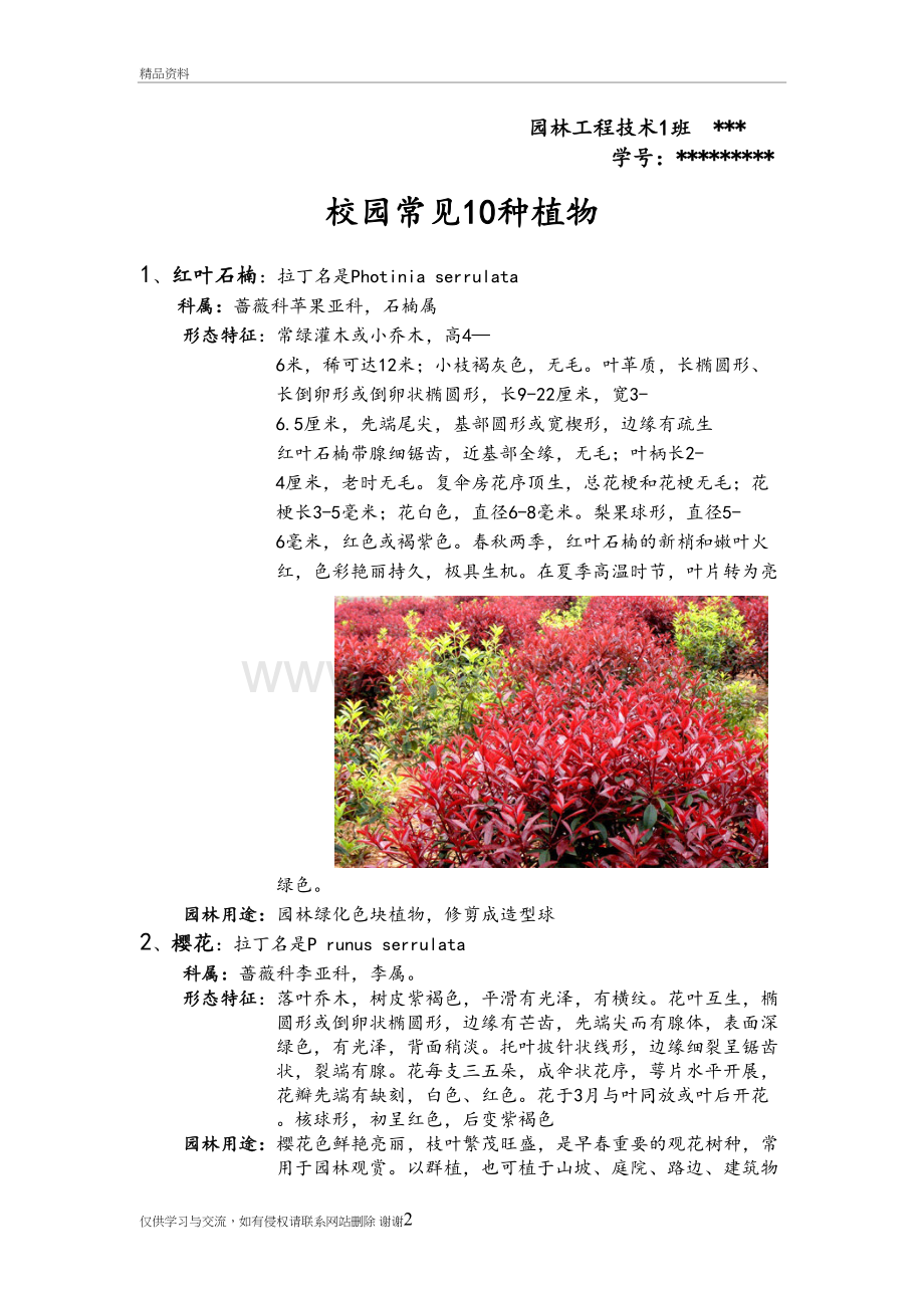 校园常见10种植物复习课程.doc_第2页