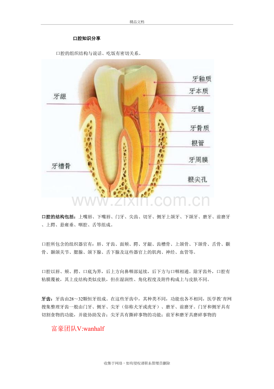 -口腔知识大全教学教材.doc_第2页