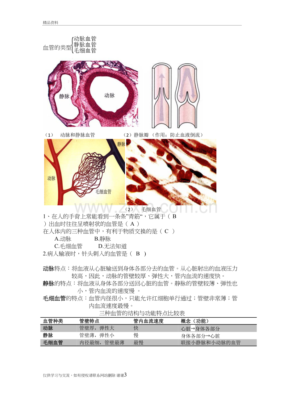 血液循环生物知识点学习资料.doc_第3页