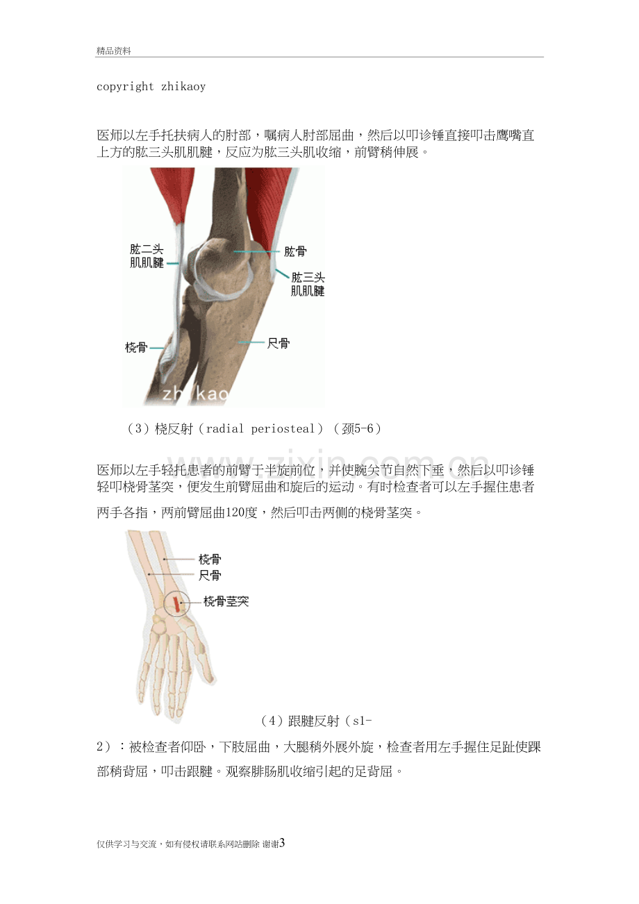 深反射浅反射病理反射教学文案.doc_第3页