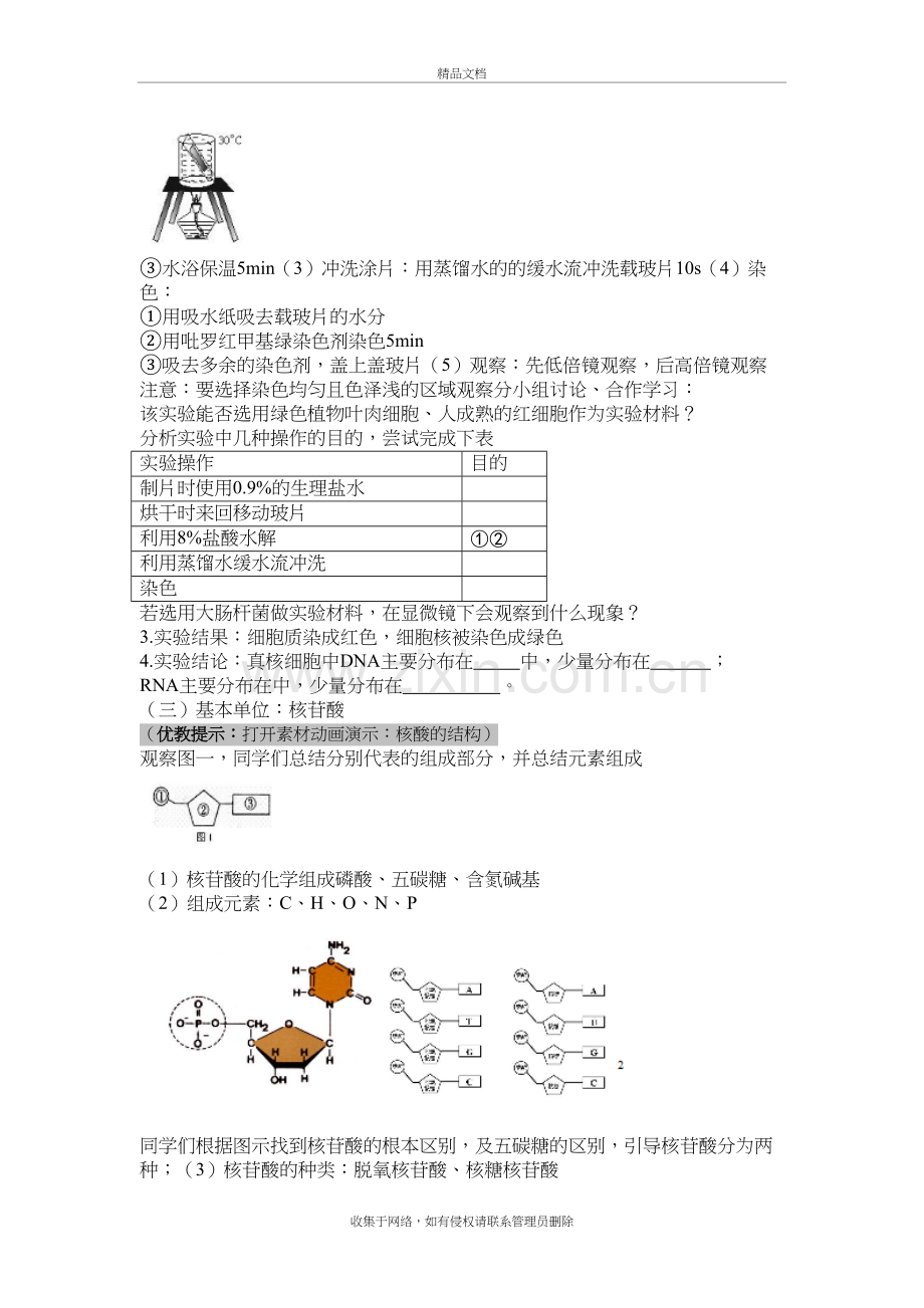 《遗传信息的携带者——核酸》教案讲课稿.doc_第3页