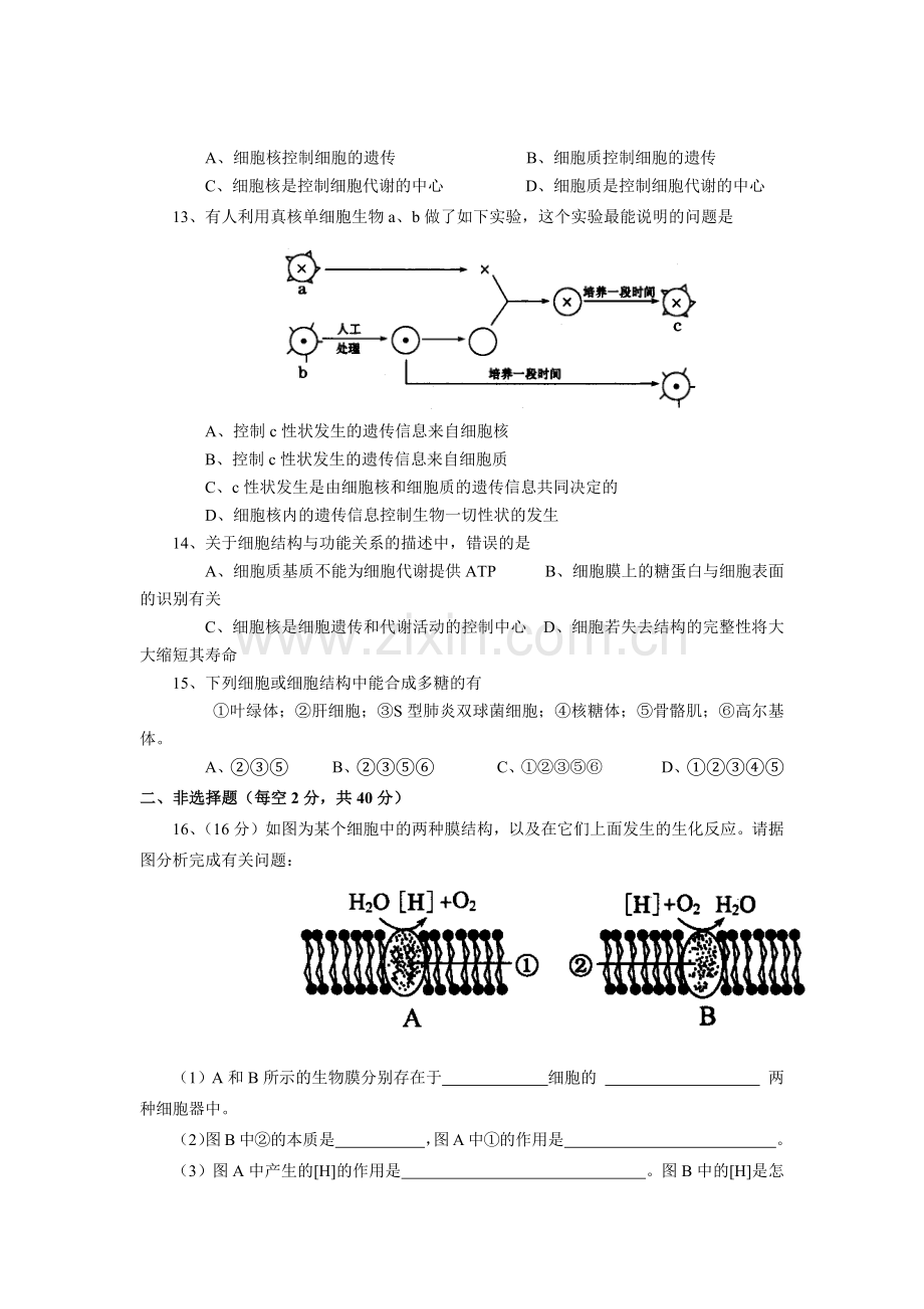 高中生物必修一第三章测试题教学内容.doc_第3页