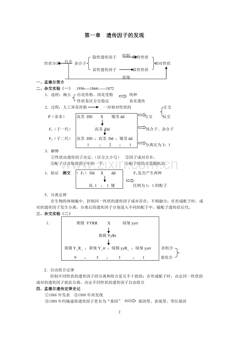 高中生物必修2最详细笔记说课材料.doc_第2页