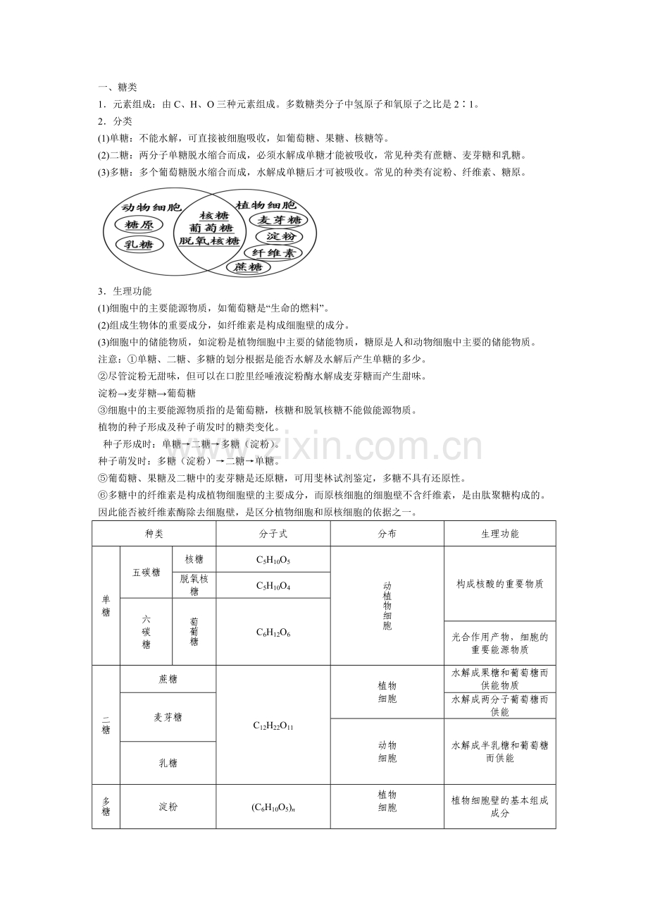 高中生物必修一——糖、脂肪和蛋白质教学内容.doc_第1页