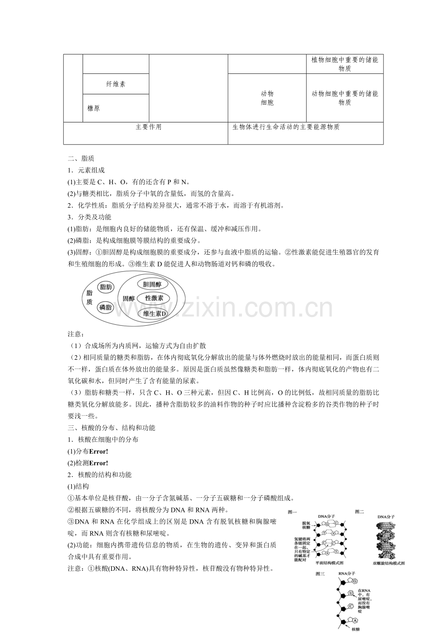 高中生物必修一——糖、脂肪和蛋白质教学内容.doc_第2页