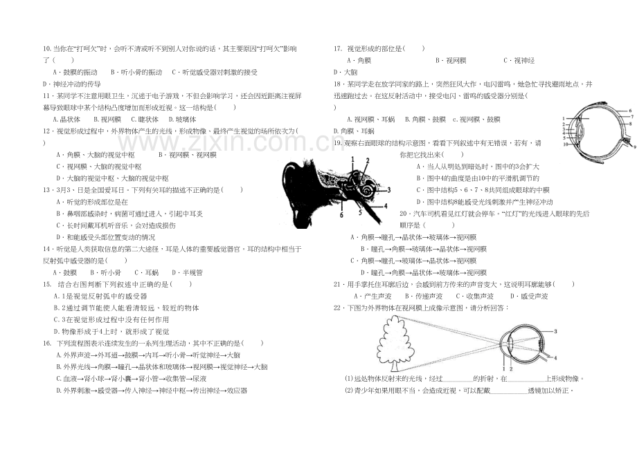 人体对外界环境的感知练习题教学内容.doc_第3页