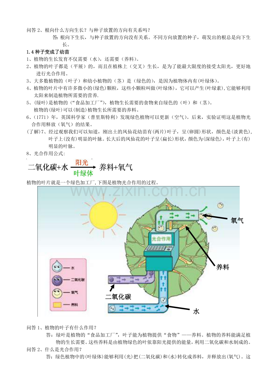 三年级下册科学第一单元知识点整理教学文稿.doc_第2页