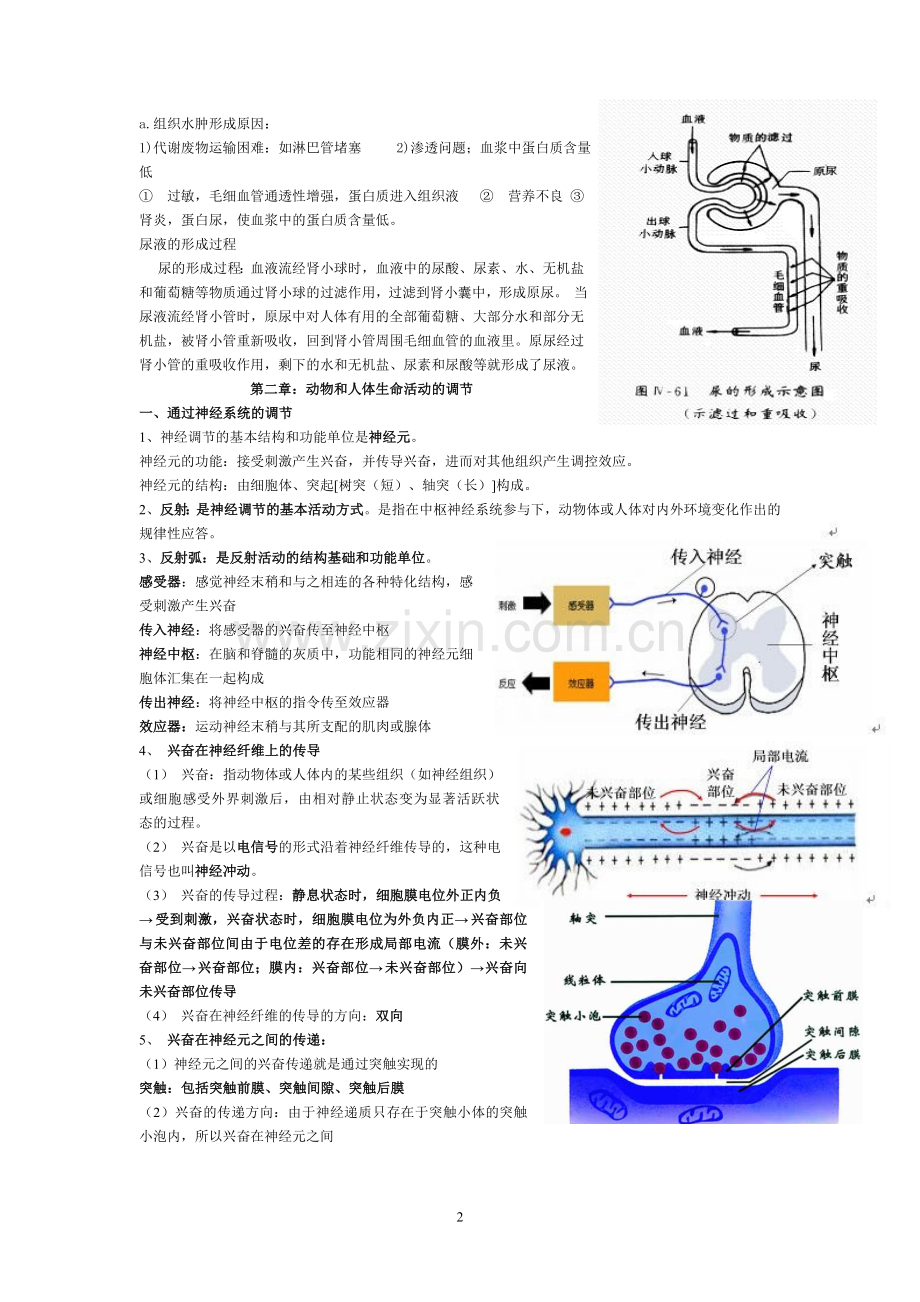 高中生物必修3知识点总结-理科讲课稿.doc_第2页