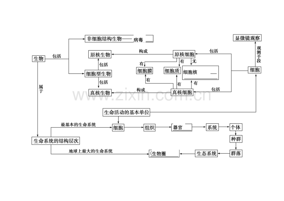 高中生物必修一知识框架.PDF教学内容.doc_第1页