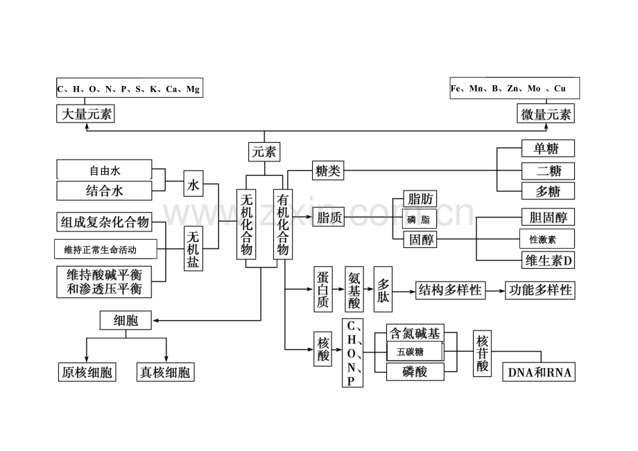 高中生物必修一知识框架.PDF教学内容.doc_第2页