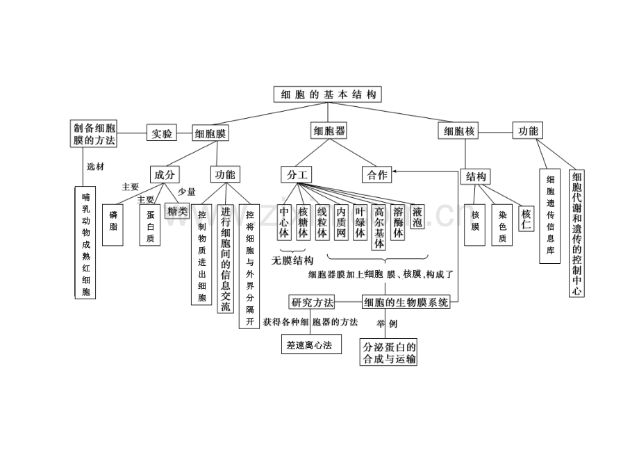 高中生物必修一知识框架.PDF教学内容.doc_第3页