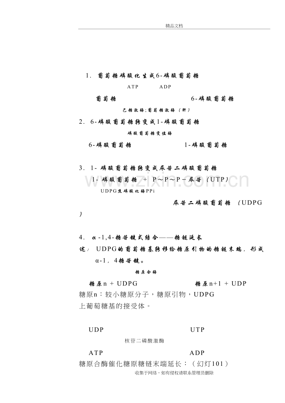 糖原合成与分解复习课程.doc_第3页