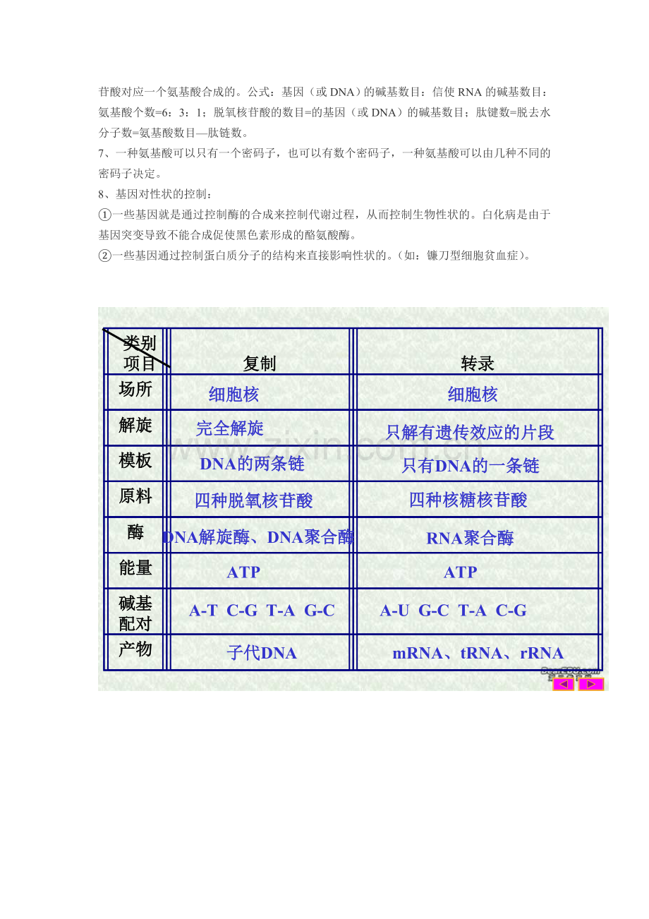 高中生物基因的表达知识点归纳资料讲解.doc_第2页