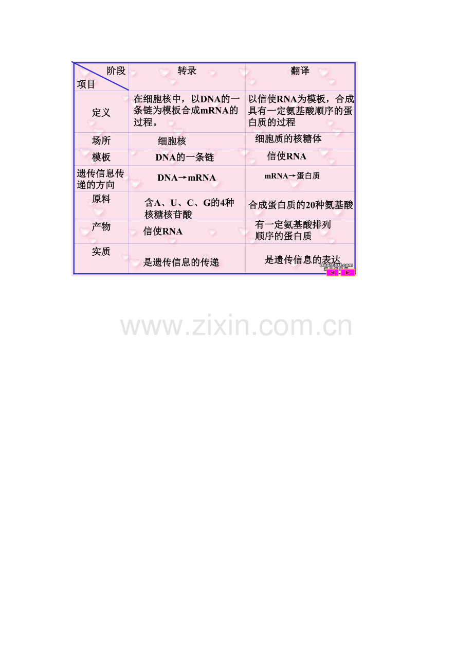 高中生物基因的表达知识点归纳资料讲解.doc_第3页