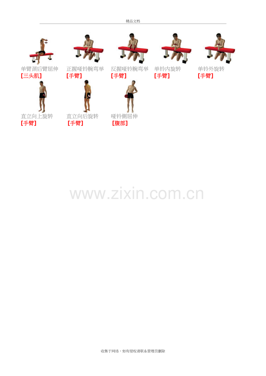 哑铃动作图解大全教学教材.doc_第3页