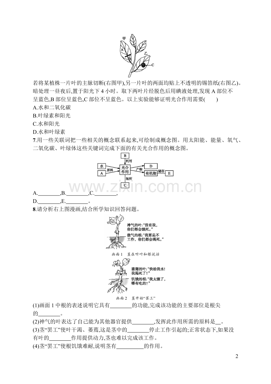 第五章第一节-光合作用吸收二氧化碳释放氧气练习题教学内容.doc_第2页