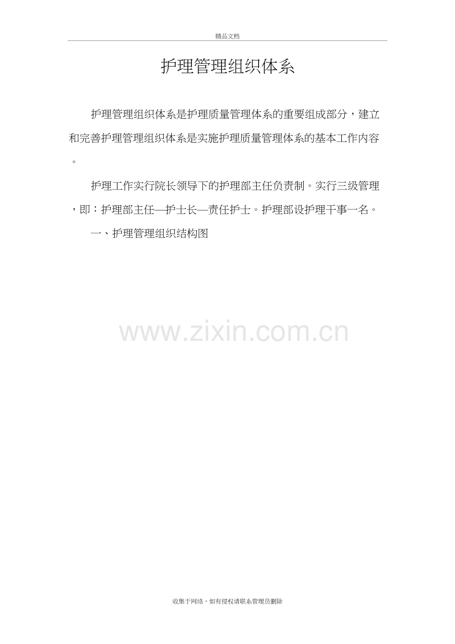 护理管理组织体系doc资料.doc_第2页