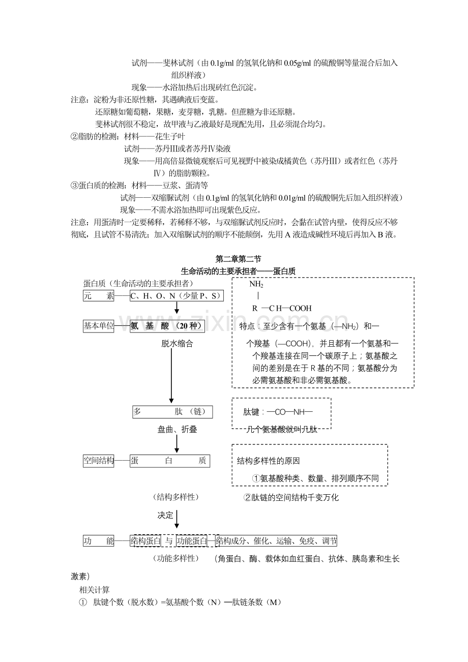 高中生物必修一第一章和第二章知识点总结复习课程.doc_第3页