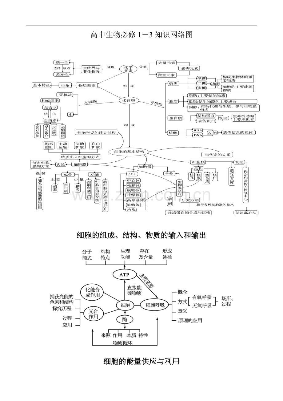 高中生物必修1-3知识网络图演示教学.doc_第1页