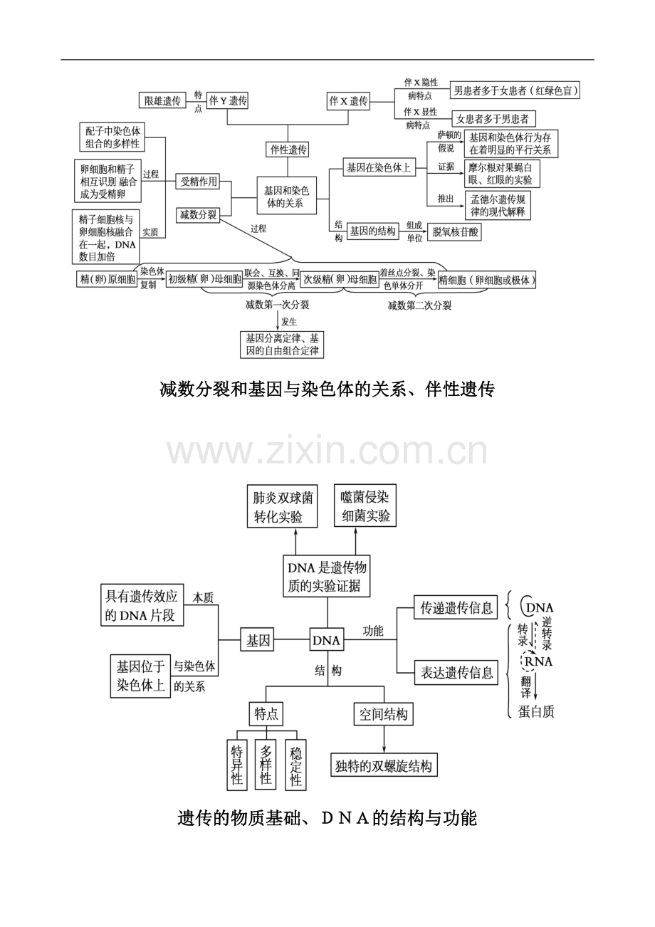 高中生物必修1-3知识网络图演示教学.doc_第3页