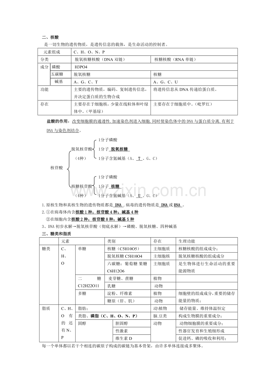 高中生物必修一第二章组成细胞的分子知识点学习资料.doc_第2页