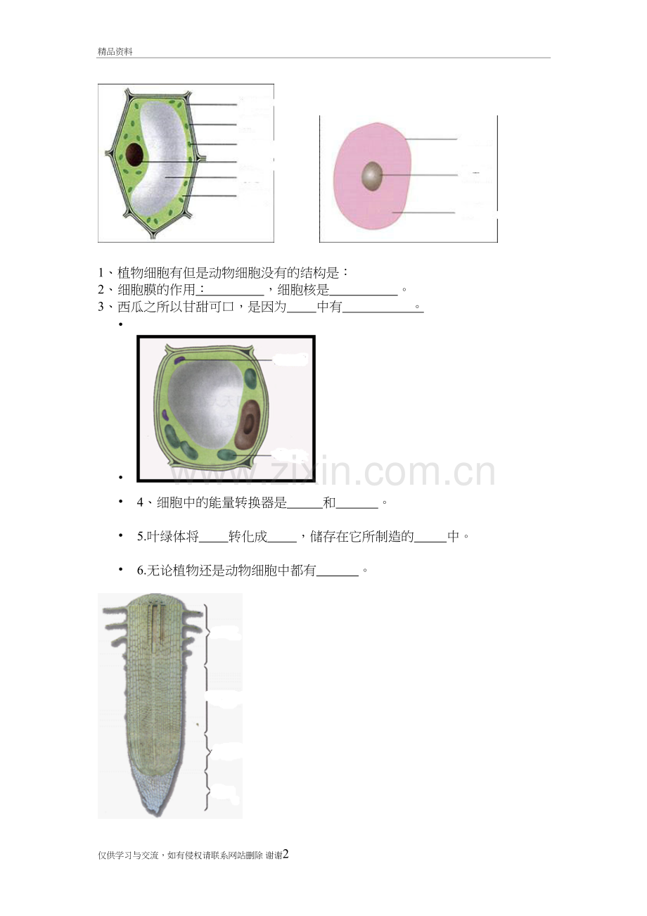 初中生物填图题及答案教学内容.doc_第2页