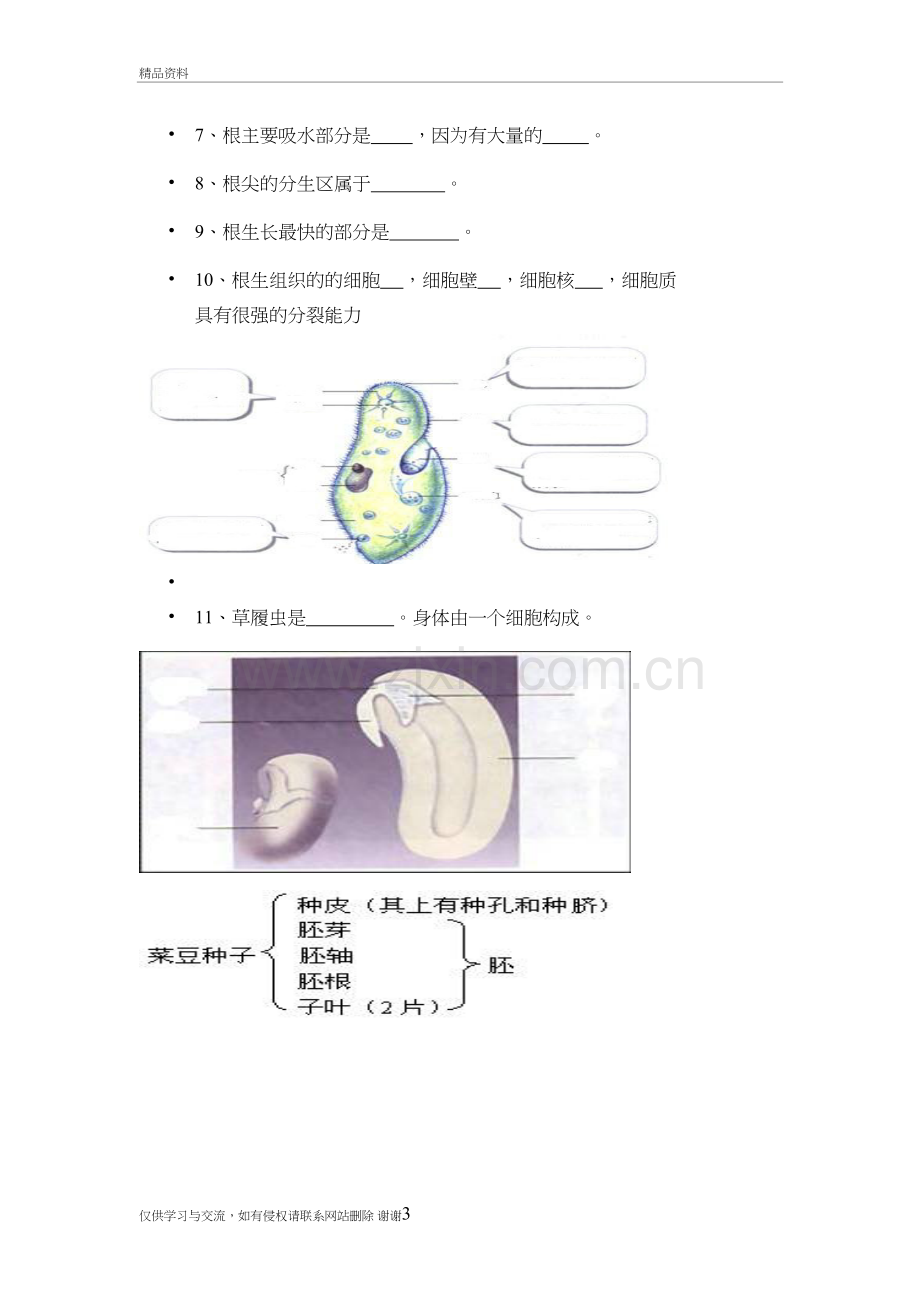 初中生物填图题及答案教学内容.doc_第3页