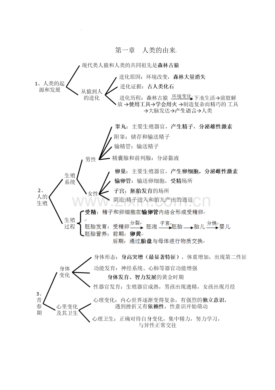 人教版七年级生物下册考点(思维导图版)教案资料.docx_第2页