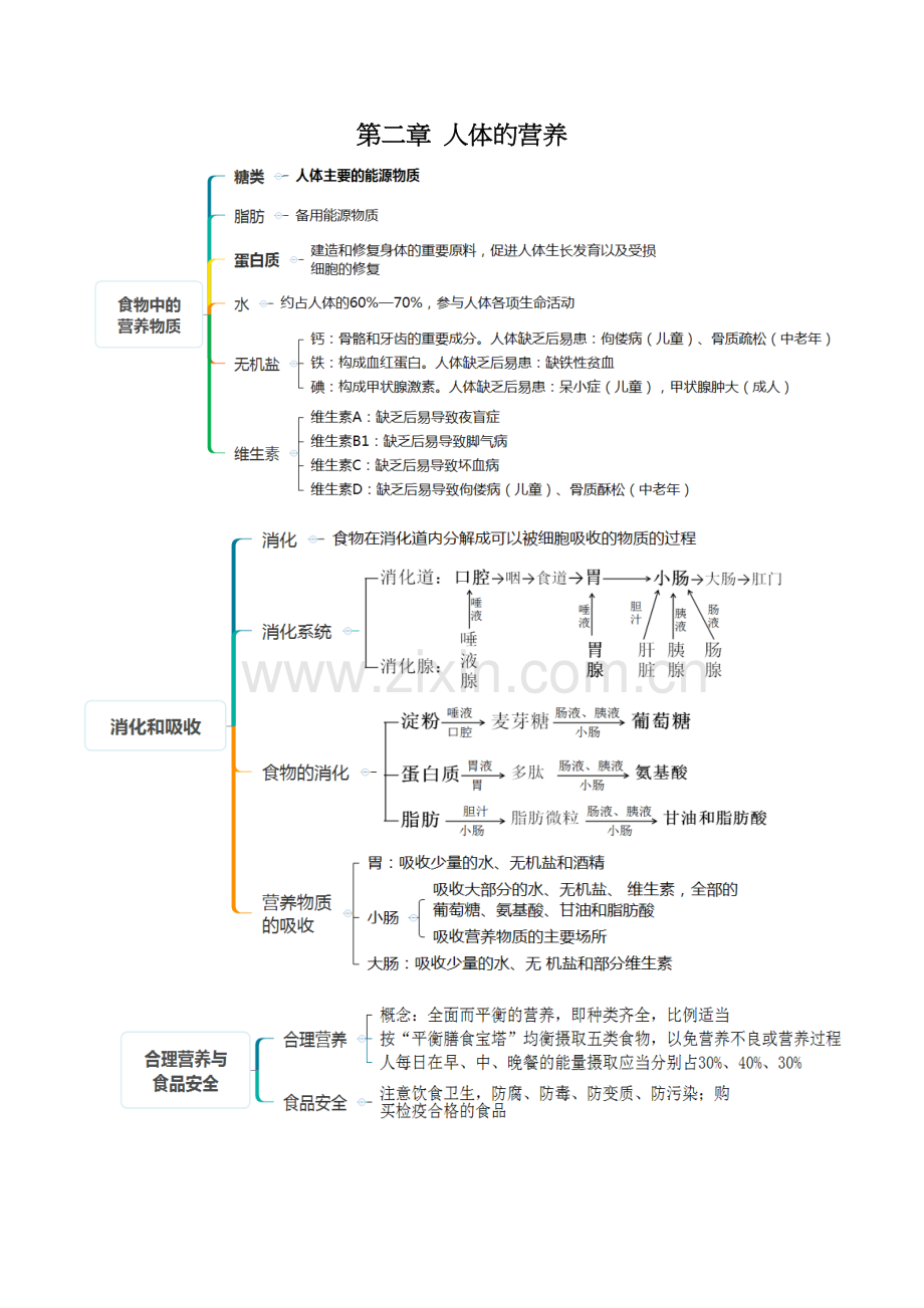 人教版七年级生物下册考点(思维导图版)教案资料.docx_第3页