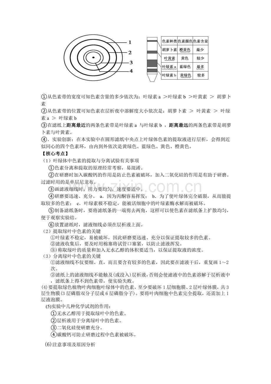 高中生物--必修1-光合作用-知识点全面总结-(word20页)资料讲解.doc_第3页