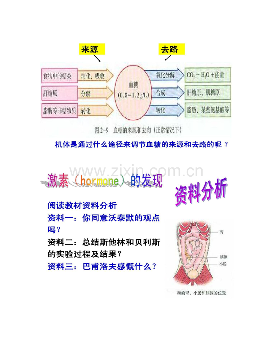 生物学③必修2.2《通过激素的调节》PPT课件.说课讲解.doc_第3页