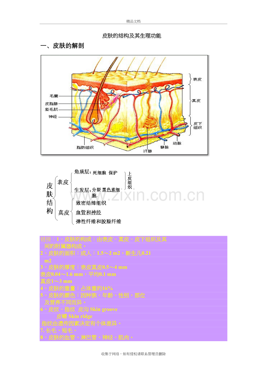 皮肤的结构及其生理功能讲课稿.doc_第2页