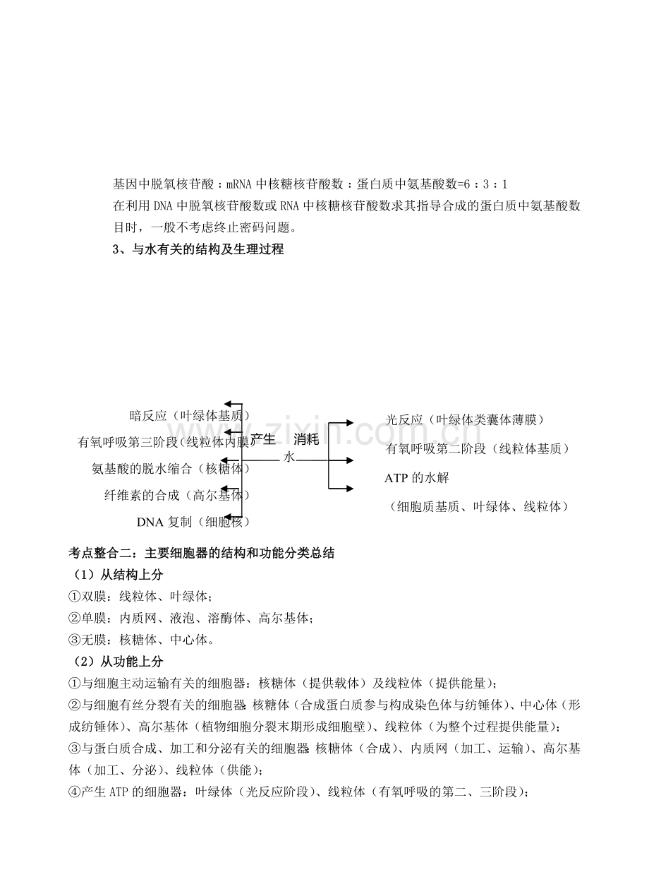 高中生物二轮专题复习知识点整合知识讲解.doc_第2页