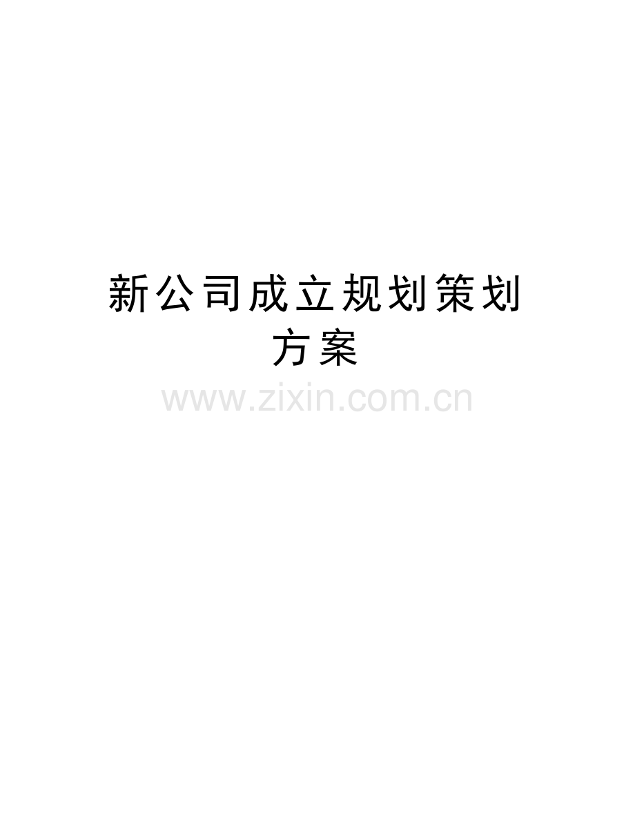 新公司成立规划策划方案复习进程.doc_第1页