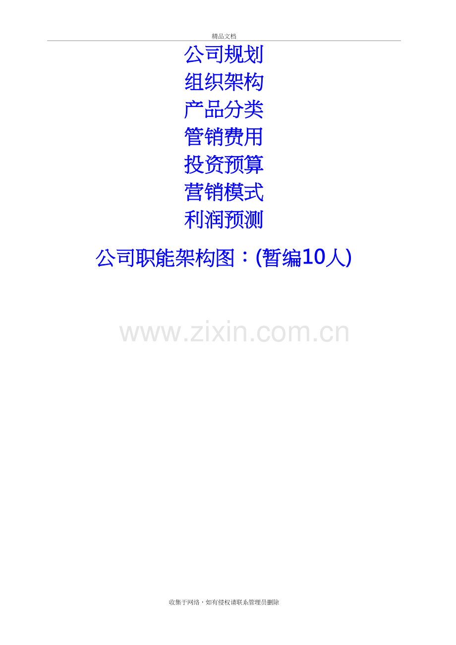 新公司成立规划策划方案复习进程.doc_第2页