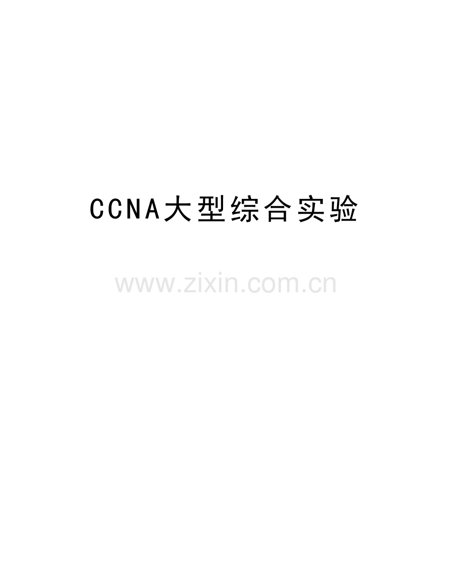 CCNA大型综合实验培训讲学.doc_第1页