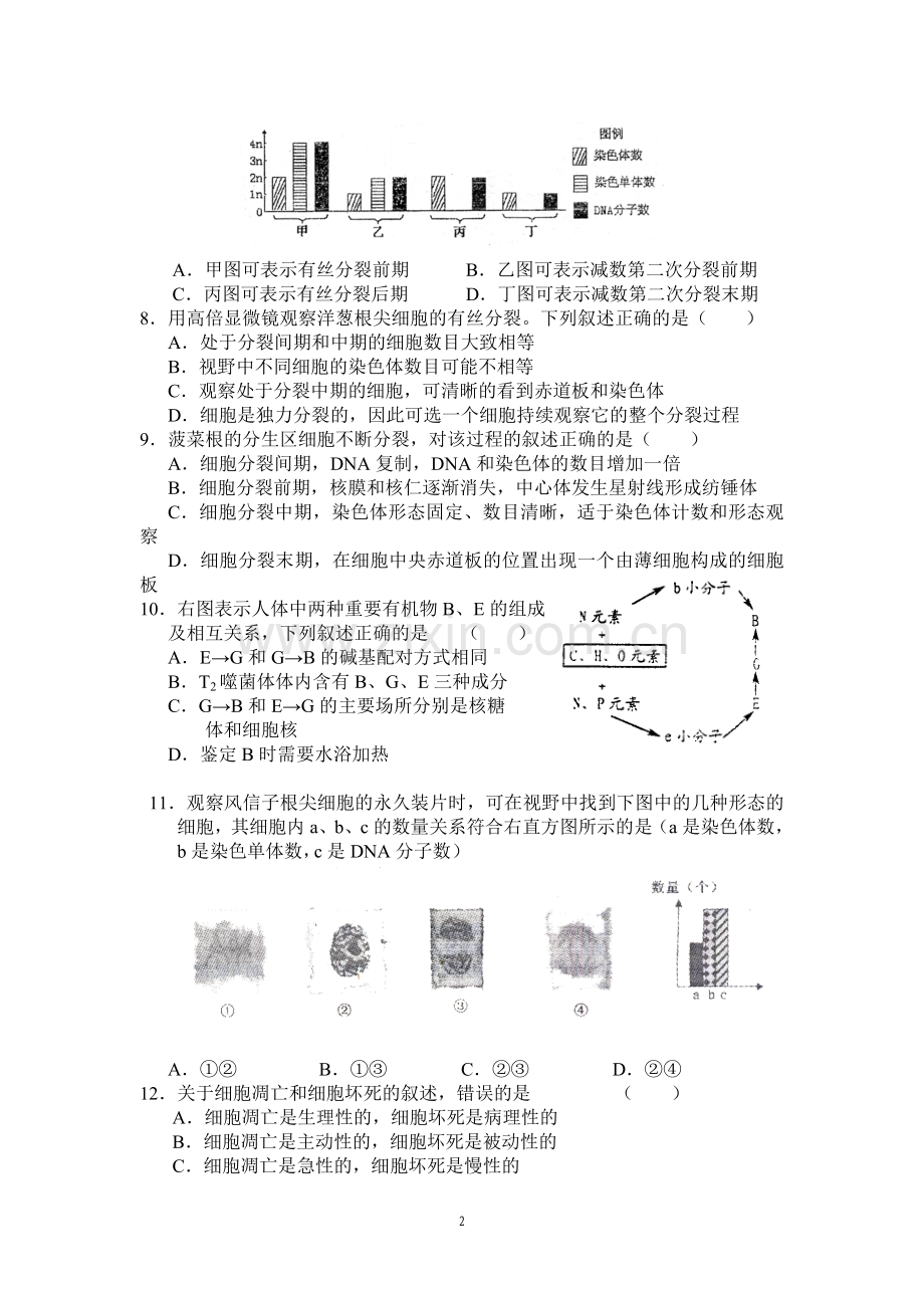 高中生物必修一第六章单元测试题讲课讲稿.doc_第2页