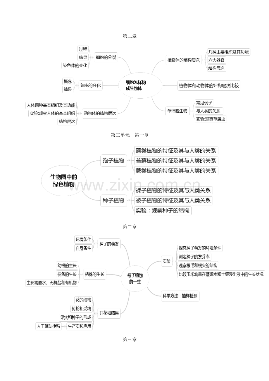 七年级上册生物思维导图讲解学习.doc_第2页