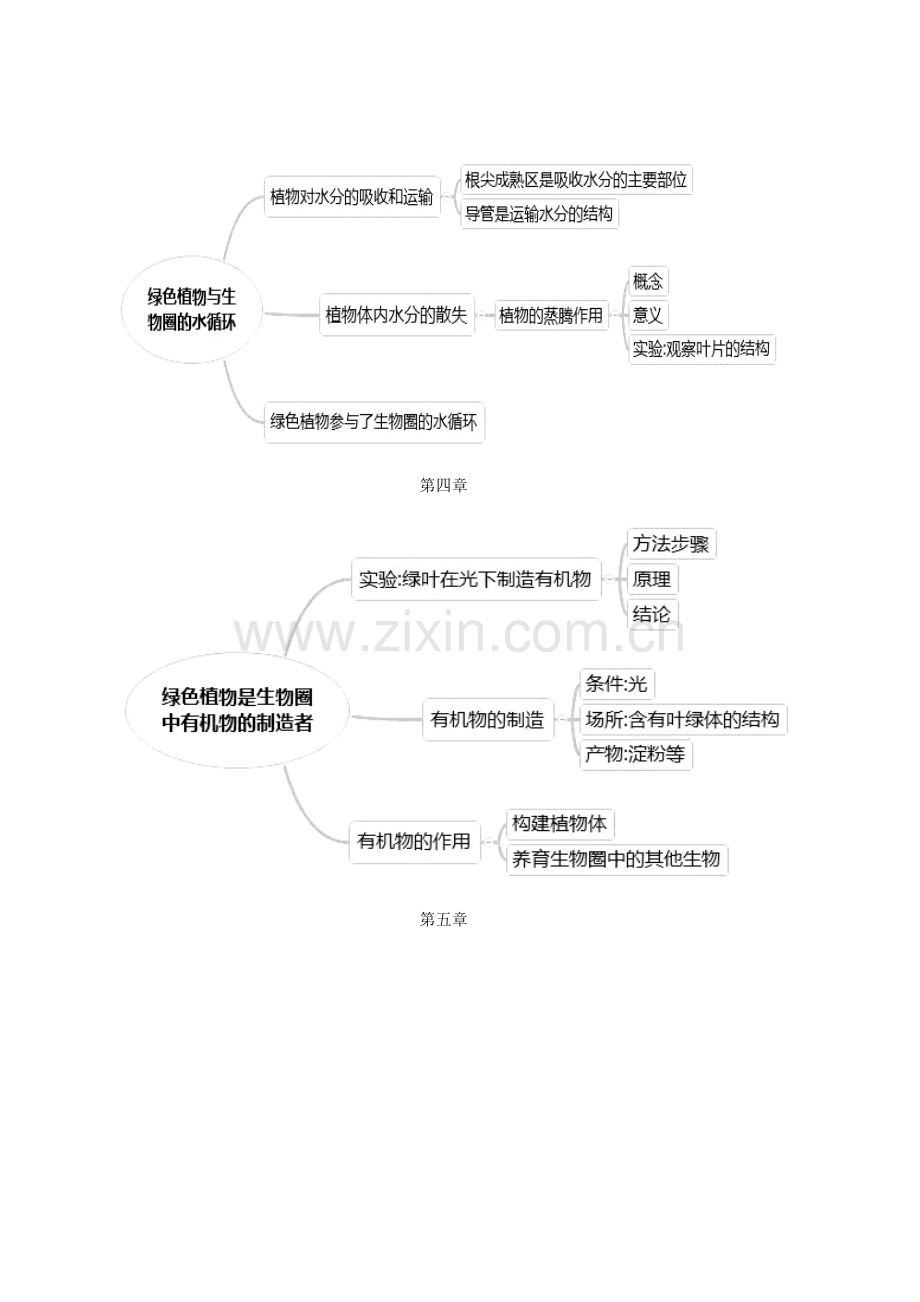 七年级上册生物思维导图讲解学习.doc_第3页