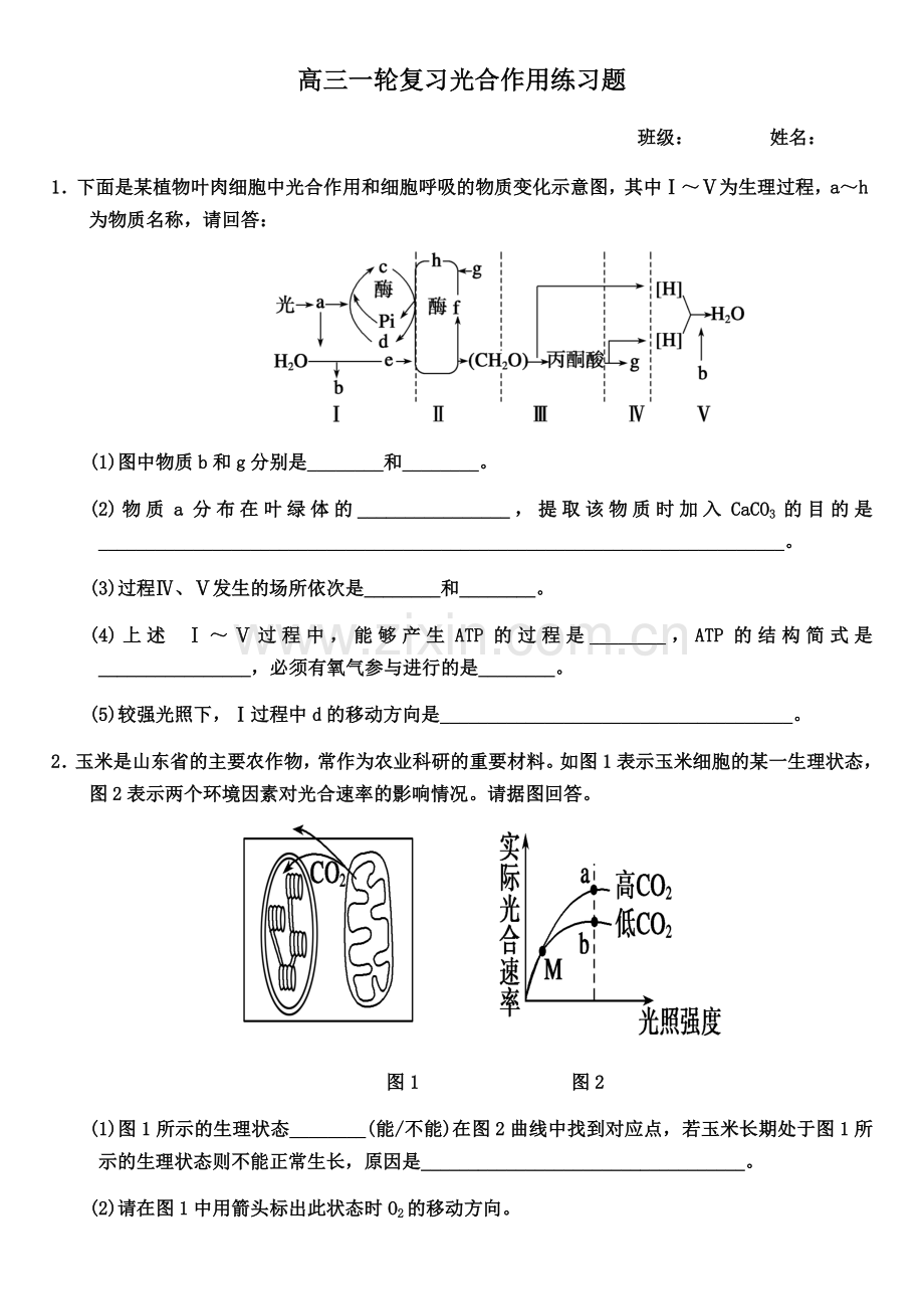 高中生物一轮复习光合作用大题带答案教学提纲.doc_第1页