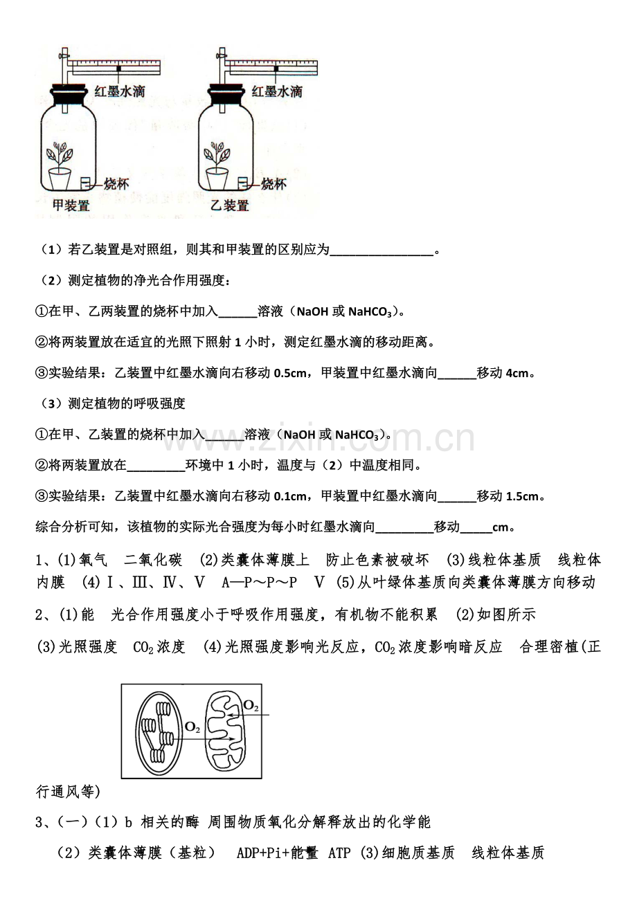 高中生物一轮复习光合作用大题带答案教学提纲.doc_第3页