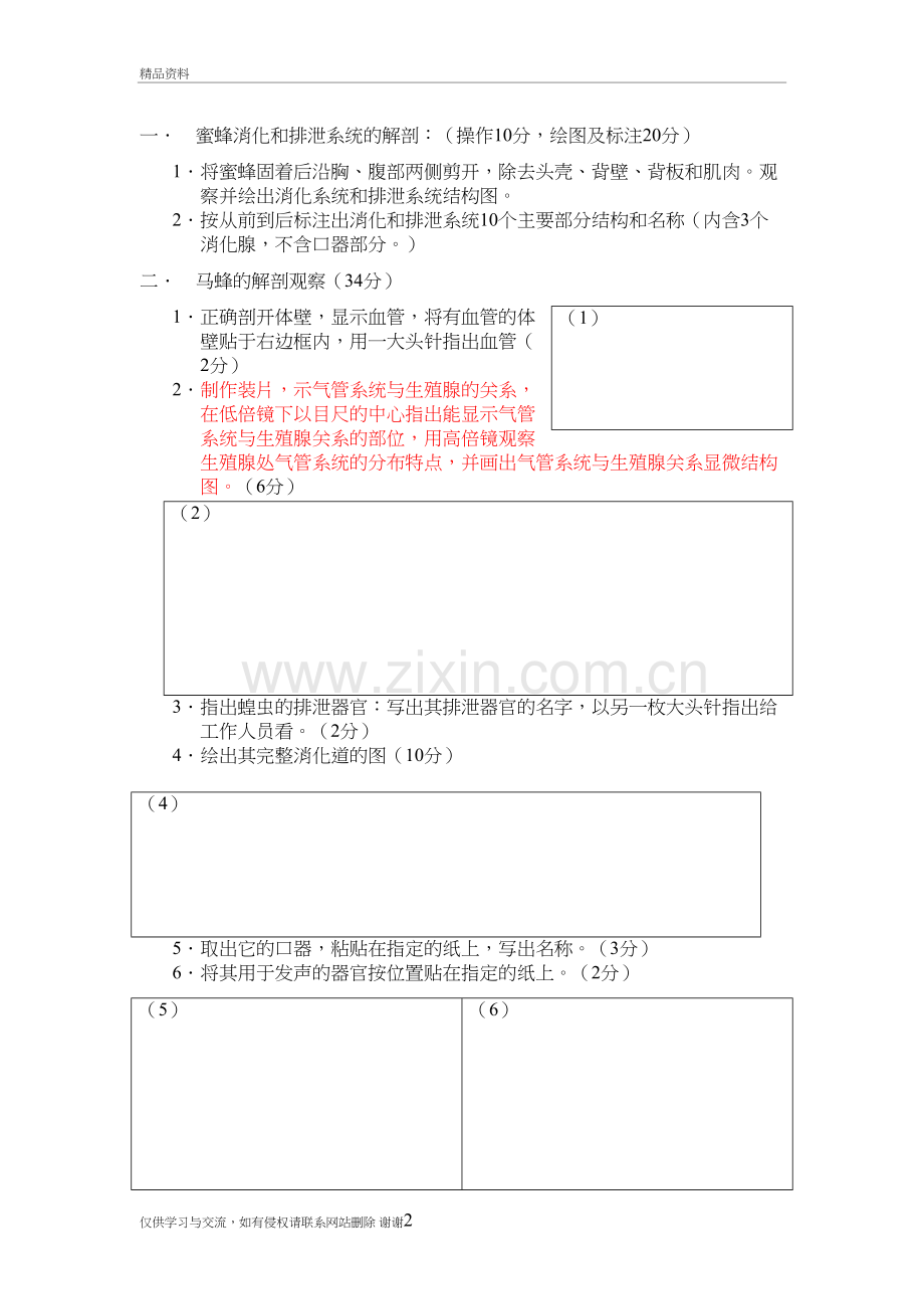 蜜蜂消化和排泄系统的解剖学习资料.doc_第2页