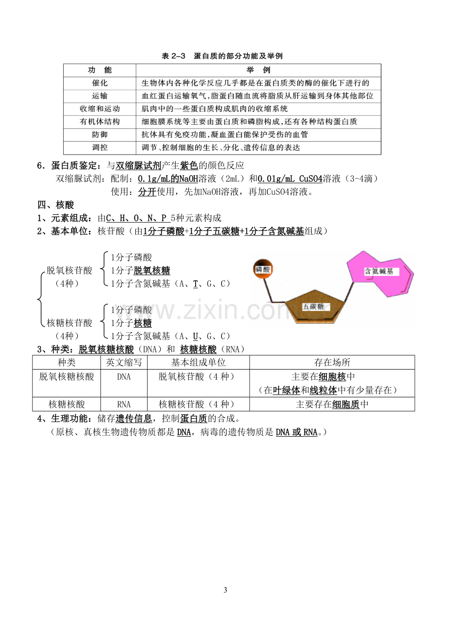 高中生物必修一至必修三知识点大全学习资料.doc_第3页