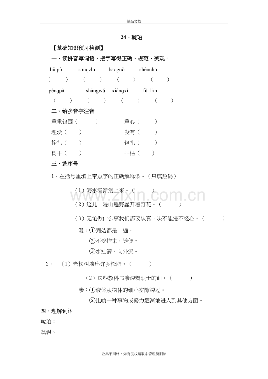 24琥珀预习教程文件.doc_第2页