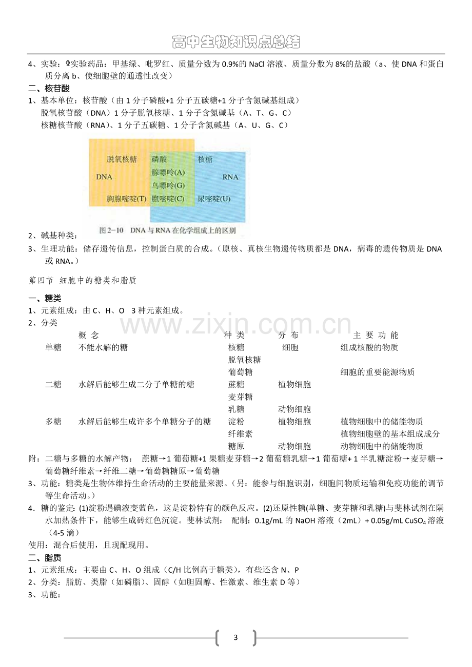 高中生物必修一知识点总结(人教版)说课讲解.doc_第3页