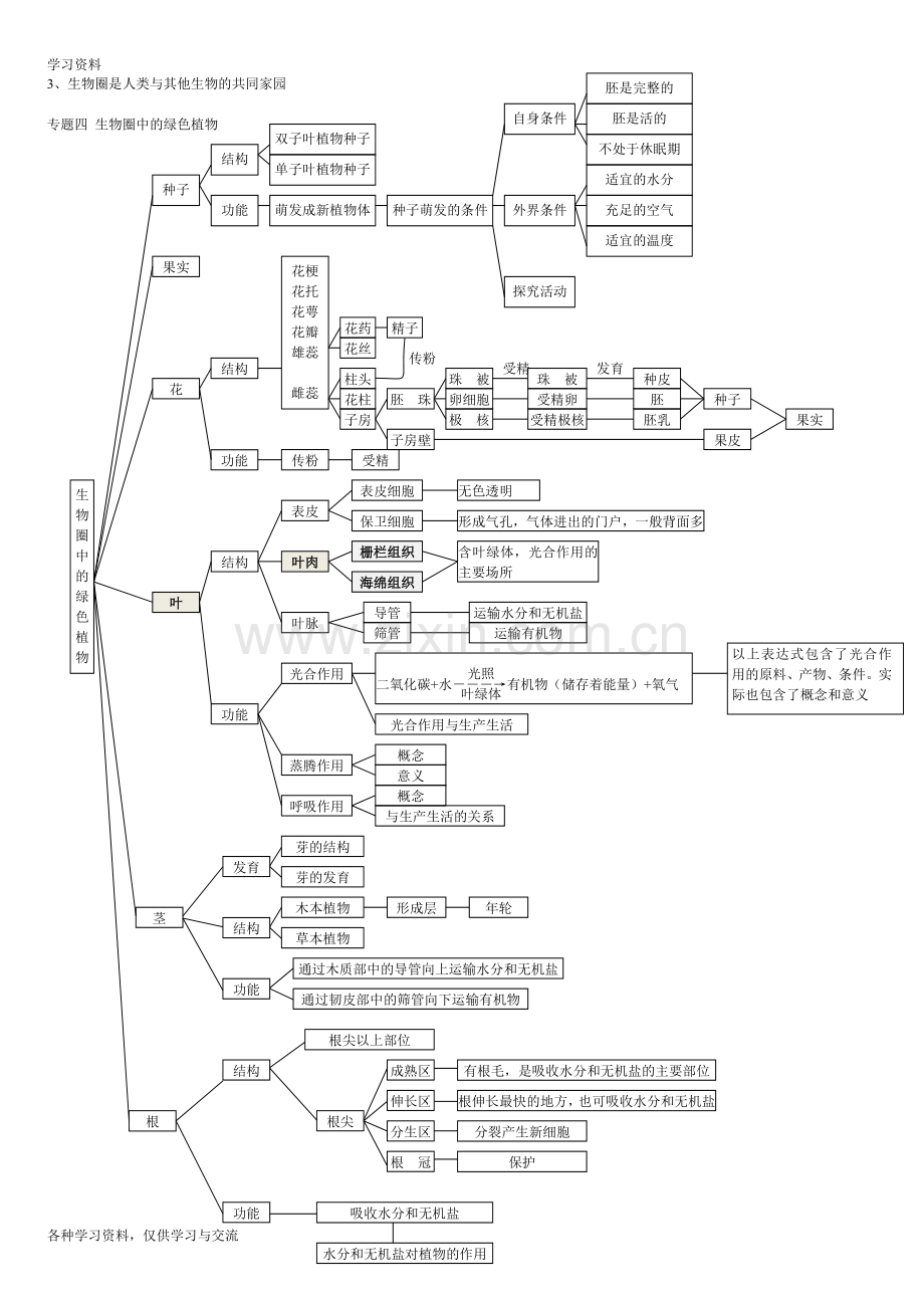 七上生物思维导图备课讲稿.doc_第3页